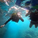 전송 | 진행] 오키나와 푸른동굴 보트 스노쿨링 (사진촬영 전송 무료 / 후기 맛집! ) = 마이리얼트립 할인코드