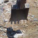 건일농장 이미지