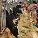 김포농협 하나로마트 이미지