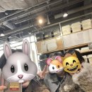 채산내 | 2세대 두바이쫀득쿠키에 빠지다.