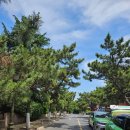 태평각 | 칭다오 가볼만한 곳: 팔대관풍경구(八大关风景区) 화석루, 제2해수욕장 산책코스