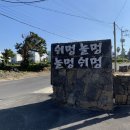간세 | 10/17-20 제주 남매여행 : 0