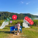 자라섬남도1(강변) | 가평역 가볼만한곳 가평 자라섬 남도 꽃정원 나들이