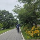 만산고을펜션 이미지