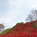 고창읍성&노동저수지. 갤럭시와이드5. 2024. 4. 14. 일요일. 이미지