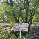 대청웰빙사우나 | 청주독채펜션 웰빙황토골펜션에서 보낸 촌캉스 후기