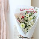 소예플레르 이미지