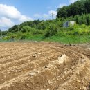 청안면사무소 이미지