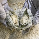 동부떡집 - 목포시 영산로245번길 14 | 동부떡집
