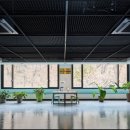 펫오케스트라 반려동물장례식장 이미지