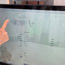 21C안경콘택트프라자 이미지