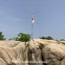 쌍생수 이미지