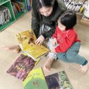 그레이트북스 놀라운자연 3개월 유아전집 후기