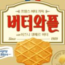 버터집