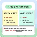 🍀위고비 마운자로 달글 7🍀 이미지