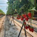 보림태권도 이미지