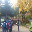 우면산3-18 이미지