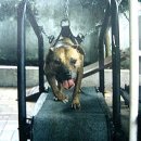 메이데이 이미지