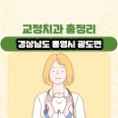 죽림치과의원 | 경상남도 통영시 광도면 교정치과 총정리