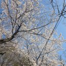 부천 종합운동장역(2번 출구) 이미지