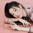 블러쉬드 이미지