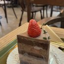 3662 | 마곡 발산 주차가능카페 카페가토 내돈내산 디저트 카페 수제케이크 맛있는 카페 후기