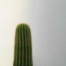용심농장 이미지