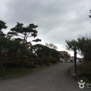 청포대하와이 이미지