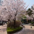 연현어린이공원 이미지