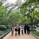 스테프핫도그용인 | 서울숲 19개월 아기랑 다녀온 후기 | 서울국제정원박람회, 포켓몬 포레스트, 서울형 키즈카페