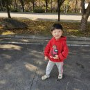 입장백약국 이미지