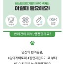 페스탑 - 서구 도요지로227번길 21-2 | 페스탑