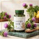 [내돈내산] 뉴스킨 리버포뮬러 밀크씨슬 한 달 솔직 후기! 만성 피로 직장인의 구원템,