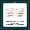 퀸덤피트니스 이미지