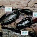 한국위생지킴이 네이버블로그