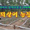 하연농장 이미지