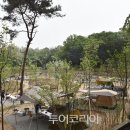 녹천캠핑 이미지