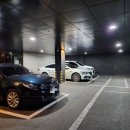 브라운도트 호텔 수영 이미지