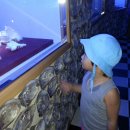 고성박물관 화장실 이미지