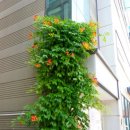 수월초등학교 이미지