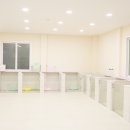 부산애견 이미지