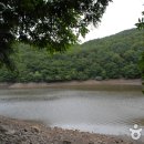 보라면