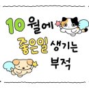 (주)대영엔씨디 - 1098 | October, 1week : 저 오늘 생일이에요🎂