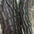 영천마을회관 이미지