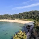 알프스비치 이미지