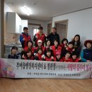 인삼사랑 Daum카페