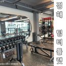 박물관역 맞은편 | 김해 내외동 헬스장 추천 ll팀터틀랫ll 헬스 운동 맛집