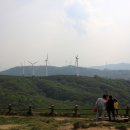 삼양목장 이미지