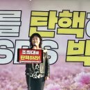 초록 환경 개발 이미지