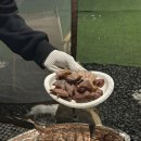 파주 셀프바베큐 가능한 캠핑식당 캠프리즈업(구 베어가든) 내돈내산 후기